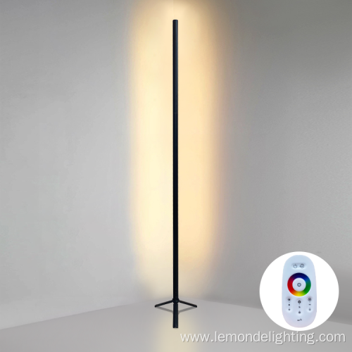 Home Decorative Dimmable Floor Lamp